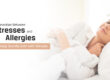 Connection Between Mattresses and Allergies